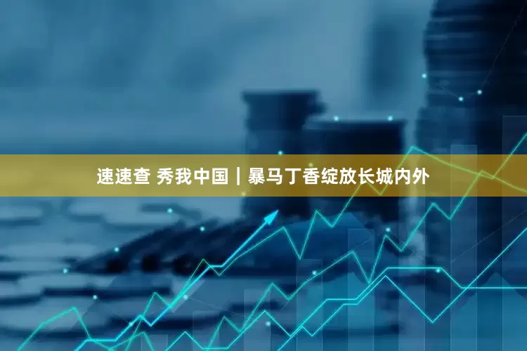 速速查 秀我中国｜暴马丁香绽放长城内外