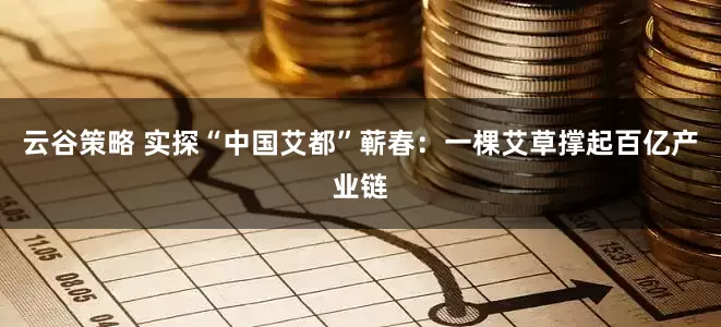 云谷策略 实探“中国艾都”蕲春：一棵艾草撑起百亿产业链
