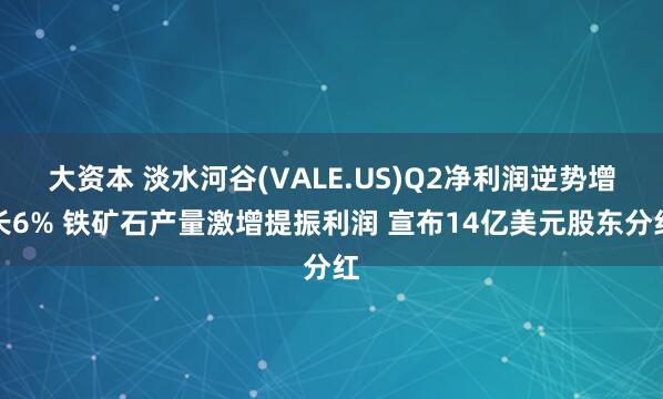 大资本 淡水河谷(VALE.US)Q2净利润逆势增长6% 铁矿石产量激增提振利润 宣布14亿美元股东分红