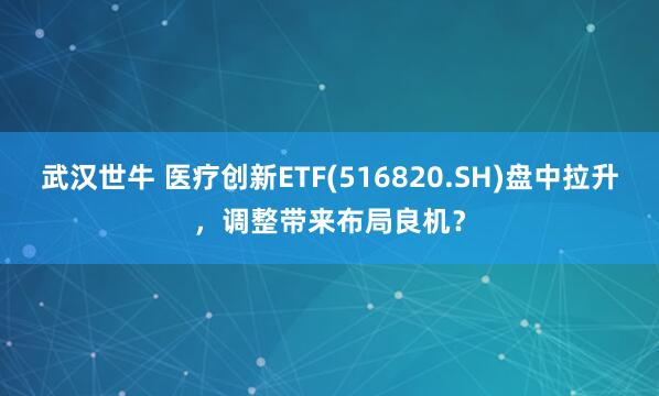 武汉世牛 医疗创新ETF(516820.SH)盘中拉升，调整带来布局良机？