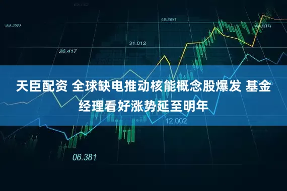 天臣配资 全球缺电推动核能概念股爆发 基金经理看好涨势延至明年